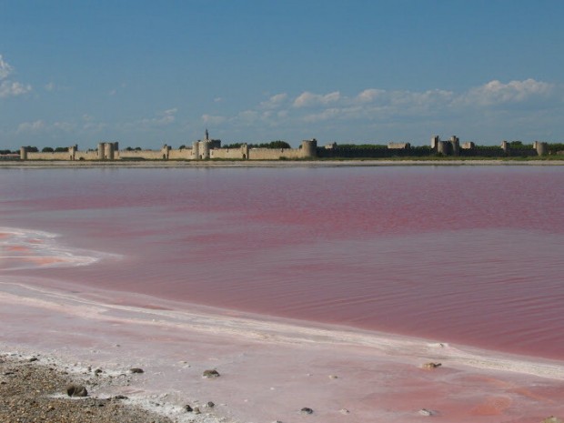 Aigues Mortes